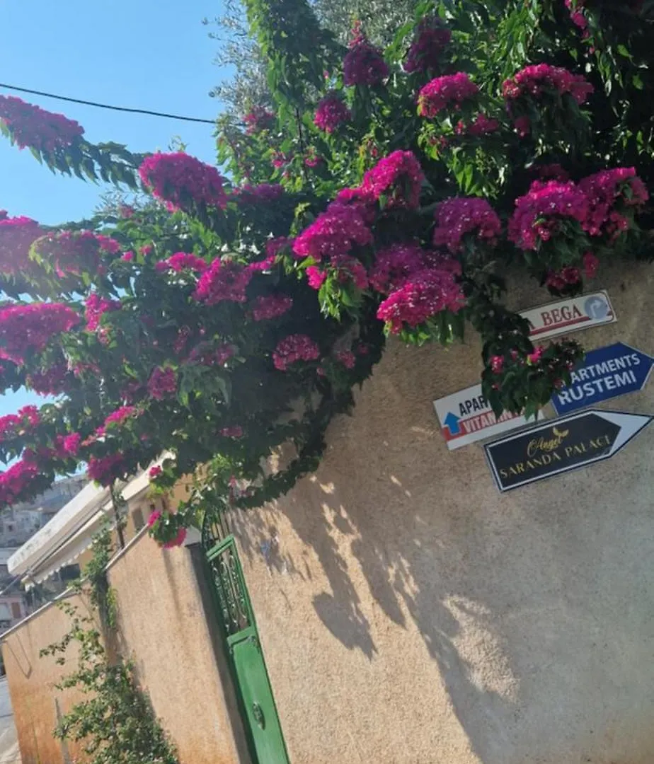 Flor Apartment Patza-Kuqani 0*,  Albanie